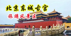 鸡巴好大好深视频中国北京-东城古宫旅游风景区
